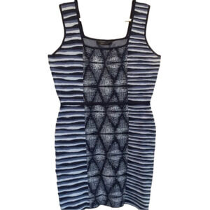 Bcbg Maxazaria Bodycon Knit Tank Dress Size L